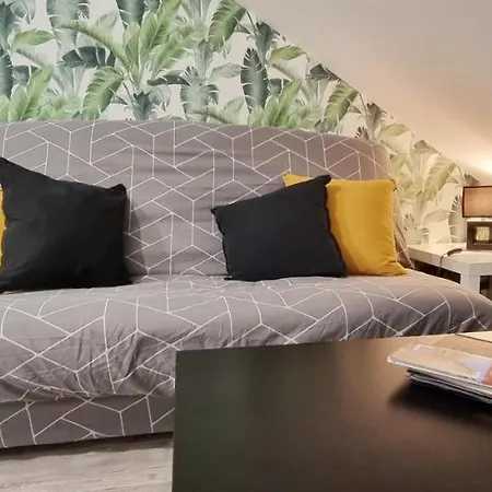 Lägenhet 2 Charmants * * Colmar